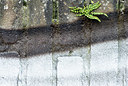 BUITEN BEELD Foto: 335740