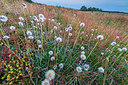 BUITEN BEELD Foto: 335745