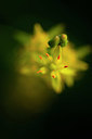 BUITEN BEELD Foto: 335778