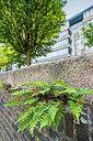 BUITEN BEELD Foto: 335781