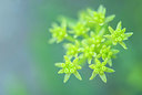 BUITEN BEELD Foto: 335797