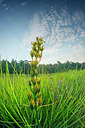 BUITEN BEELD Foto: 335799