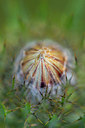BUITEN BEELD Foto: 335801