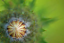 BUITEN BEELD Foto: 335811
