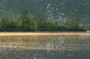 BUITEN BEELD Foto: 335911