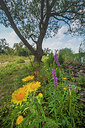 BUITEN BEELD Foto: 335939