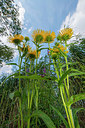 BUITEN BEELD Foto: 335943