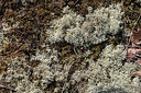 BUITEN BEELD Foto: 336068