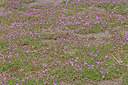 BUITEN BEELD Foto: 336072