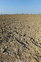 BUITEN BEELD Foto: 336116