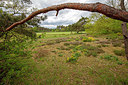 BUITEN BEELD Foto: 336126