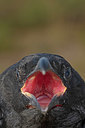 BUITEN BEELD Foto: 336130