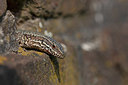 BUITEN BEELD Foto: 336159