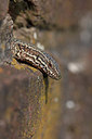 BUITEN BEELD Foto: 336162