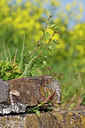 BUITEN BEELD Foto: 336164