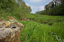 BUITEN BEELD Foto: 336176