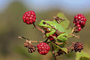 BUITEN BEELD Foto: 336184