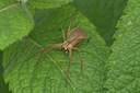 BUITEN BEELD Foto: 336205