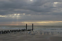 BUITEN BEELD Foto: 336215