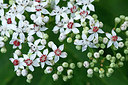 BUITEN BEELD Foto: 336386