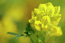 BUITEN BEELD Foto: 336412