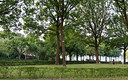 BUITEN BEELD Foto: 336484