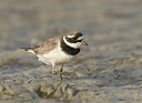BUITEN BEELD Foto: 336507