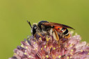 BUITEN BEELD Foto: 336529