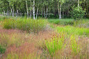 BUITEN BEELD Foto: 336566