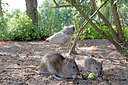 BUITEN BEELD Foto: 336597