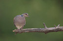 BUITEN BEELD Foto: 336680