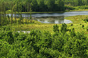 BUITEN BEELD Foto: 336731
