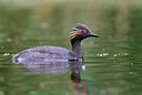 BUITEN BEELD Foto: 336786