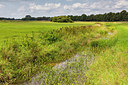 BUITEN BEELD Foto: 336821
