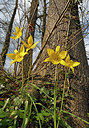BUITEN BEELD Foto: 336893