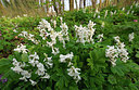 BUITEN BEELD Foto: 336905
