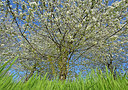 BUITEN BEELD Foto: 336907