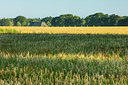 BUITEN BEELD Foto: 336937