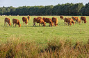 BUITEN BEELD Foto: 336972