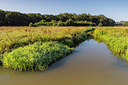 BUITEN BEELD Foto: 337073