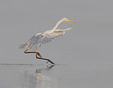 BUITEN BEELD Foto: 337345