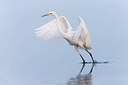 BUITEN BEELD Foto: 337381