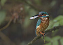 BUITEN BEELD Foto: 337432