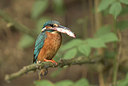 BUITEN BEELD Foto: 337436