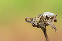 BUITEN BEELD Foto: 337506