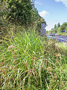 BUITEN BEELD Foto: 337519