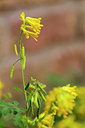 BUITEN BEELD Foto: 337526