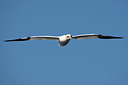 BUITEN BEELD Foto: 337590