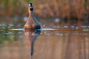 BUITEN BEELD Foto: 337593