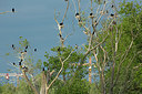 BUITEN BEELD Foto: 337653